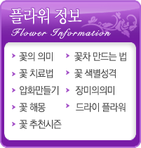 �ö������