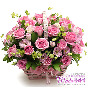 �󼼳��뺸��