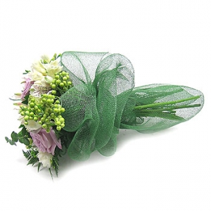 �󼼳��뺸��