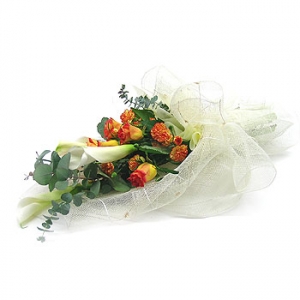 �󼼳��뺸��