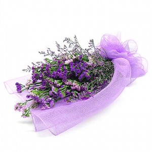 �󼼳��뺸��