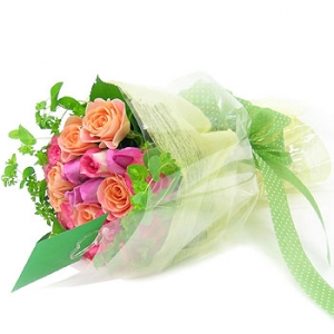 �󼼳��뺸��