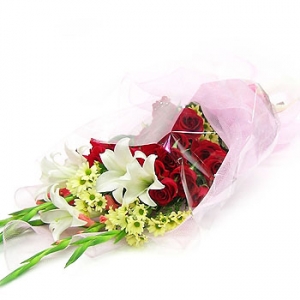 �󼼳��뺸��