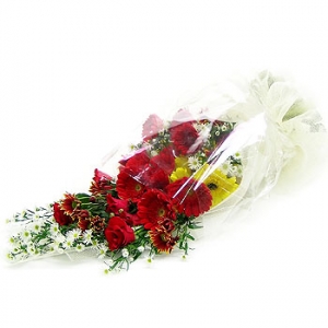 �󼼳��뺸��