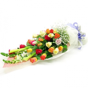 �󼼳��뺸��