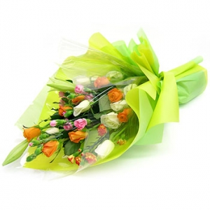 �󼼳��뺸��