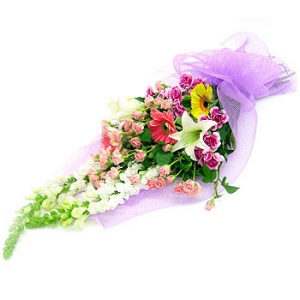 �󼼳��뺸��