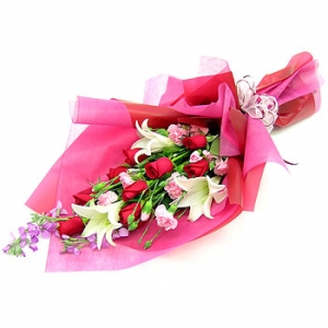 �󼼳��뺸��