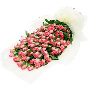 »ó¼¼³»¿ëº¸±â