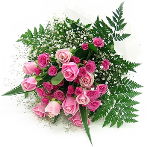 �󼼳��뺸��