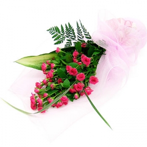 �󼼳��뺸��