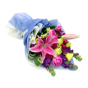 �󼼳��뺸��