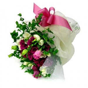 �󼼳��뺸��