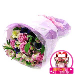 �󼼳��뺸��