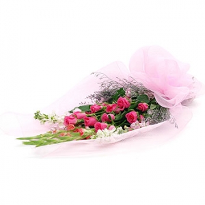 �󼼳��뺸��