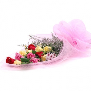 �󼼳��뺸��