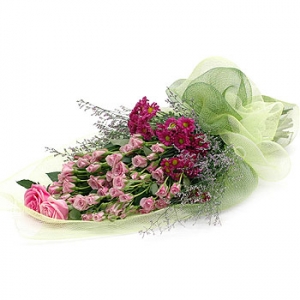 �󼼳��뺸��