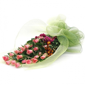 �󼼳��뺸��