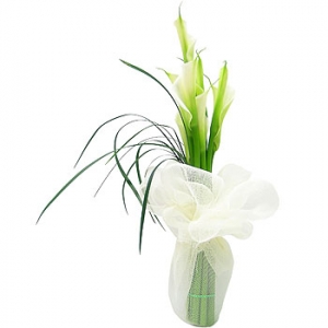 �󼼳��뺸��