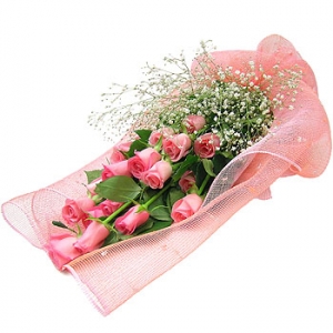 �󼼳��뺸��