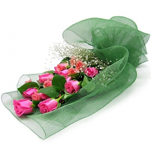 �󼼳��뺸��