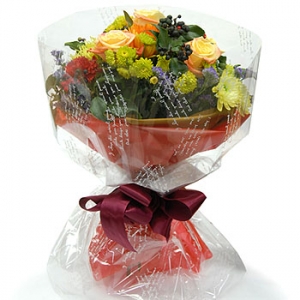 �󼼳��뺸��