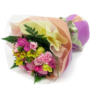 »ó¼¼³»¿ëº¸±â