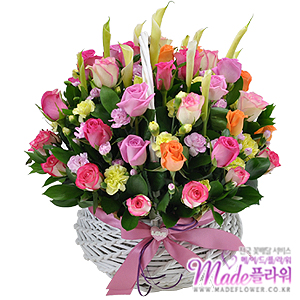 �󼼳��뺸��