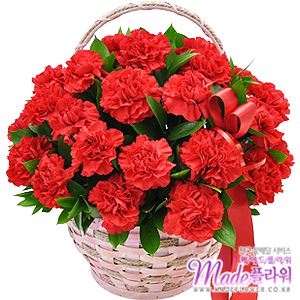 �󼼳��뺸��