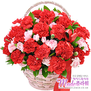 �󼼳��뺸��