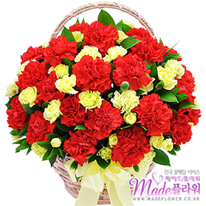 �󼼳��뺸��