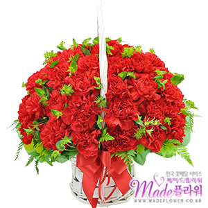 �󼼳��뺸��