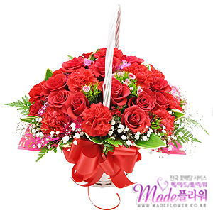 �󼼳��뺸��