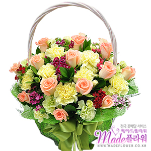 �󼼳��뺸��