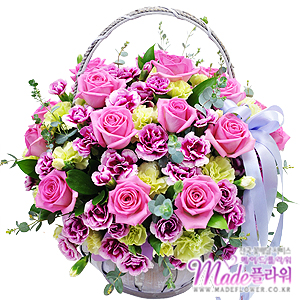 �󼼳��뺸��