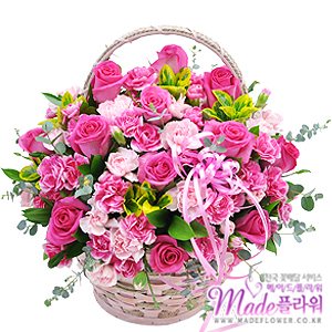 �󼼳��뺸��