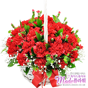 �󼼳��뺸��