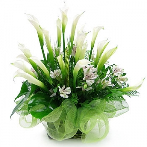 �󼼳��뺸��