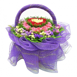 �󼼳��뺸��