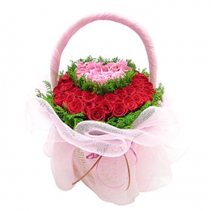 �󼼳��뺸��