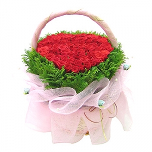 »ó¼¼³»¿ëº¸±â