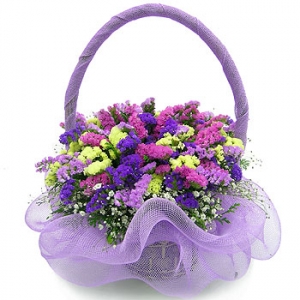 �󼼳��뺸��