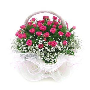 �󼼳��뺸��