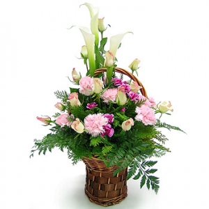 �󼼳��뺸��