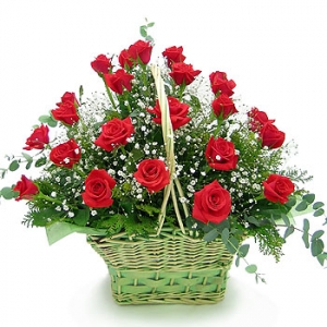 �󼼳��뺸��