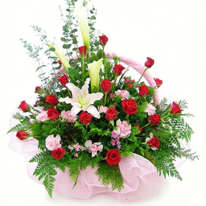 �󼼳��뺸��