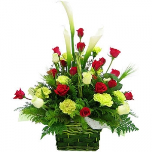 �󼼳��뺸��