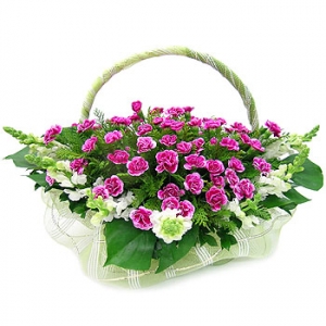 �󼼳��뺸��