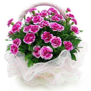 �󼼳��뺸��