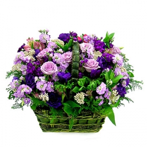 »ó¼¼³»¿ëº¸±â